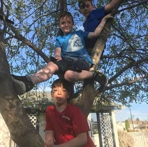 Meet your Posher, Henry